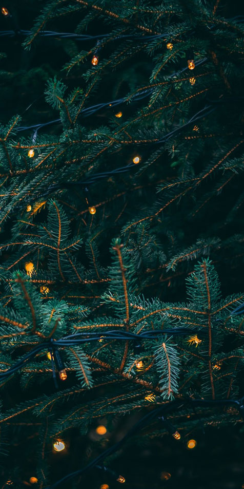 Mercatino di Natale. Итальянская зима.